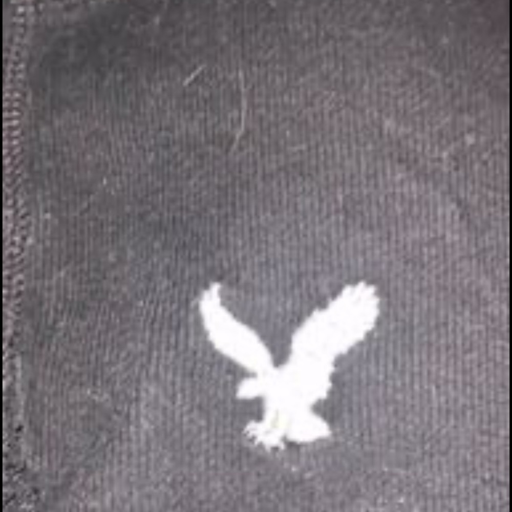 American eagle - Picture 3 of 3